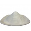Coconut Milk Powder